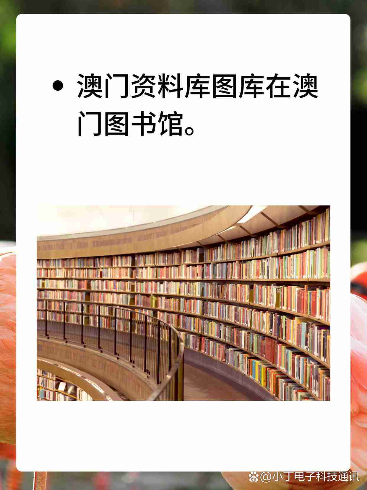 澳门资料库一澳门资料库.澳彩