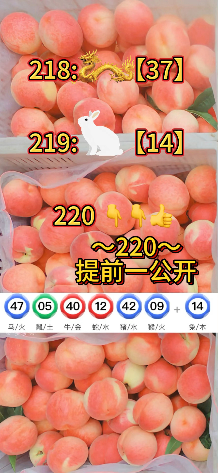 澳资料免费大全