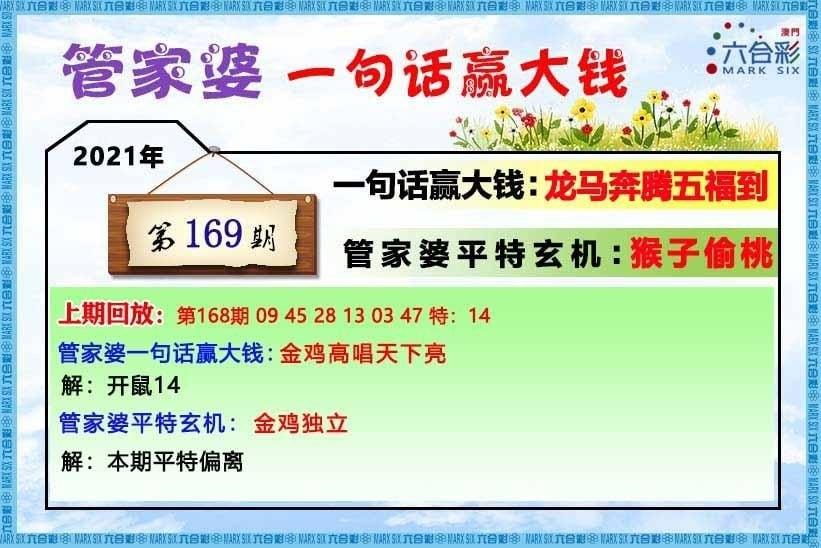 2021澳彩资料超准	