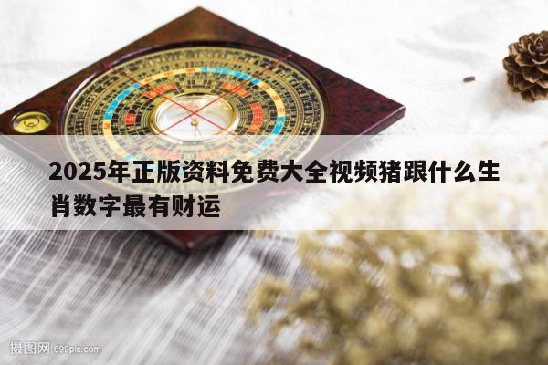 2025年正版资料免费大全视频猪跟什么生肖数字最有财运