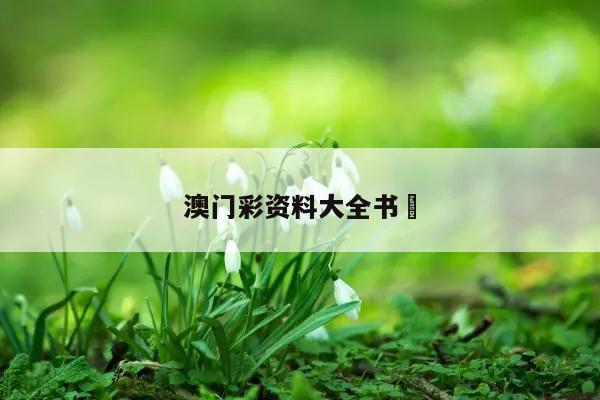 澳门彩资料大全书	
