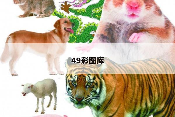 49彩图库